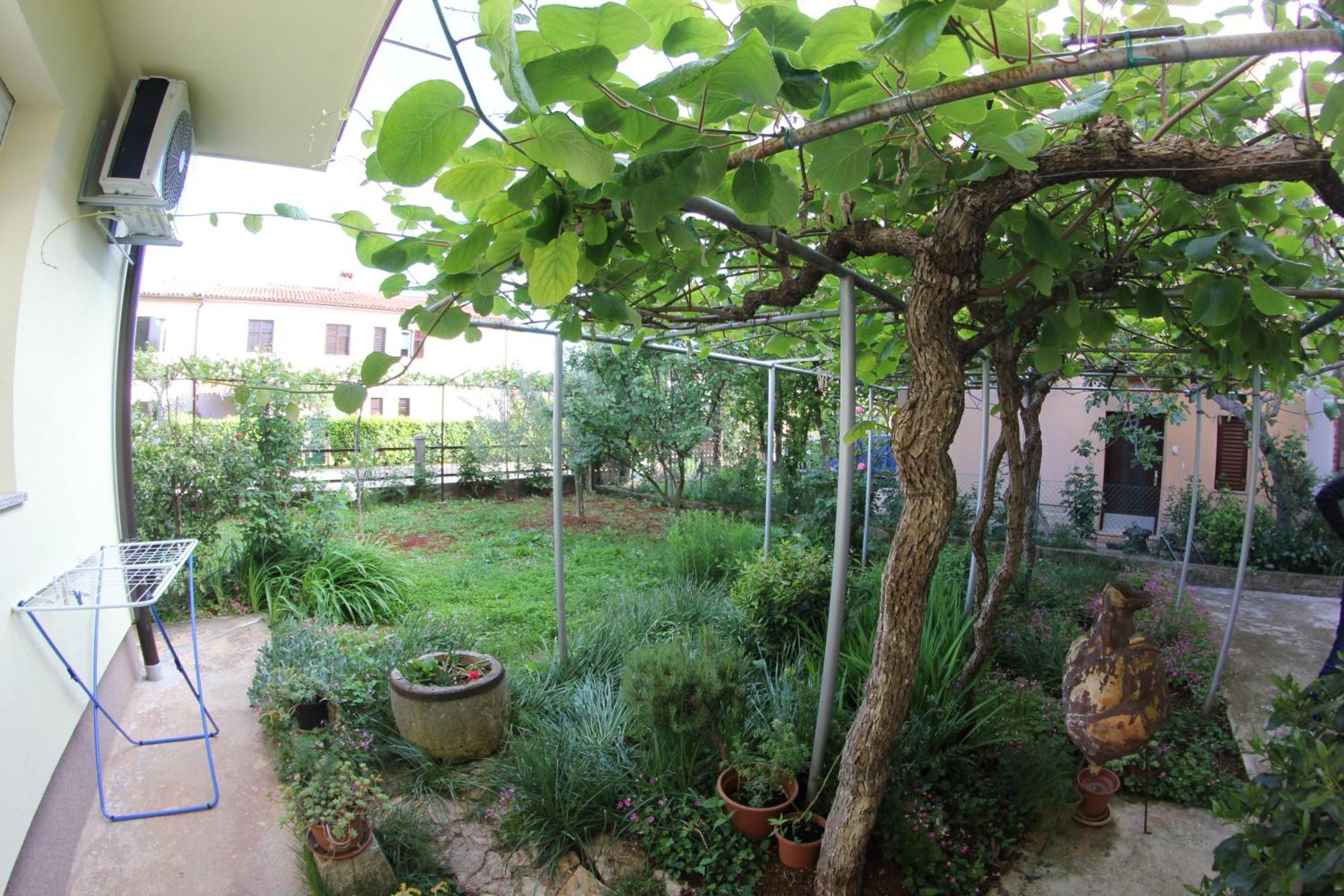 Apartment Neno *